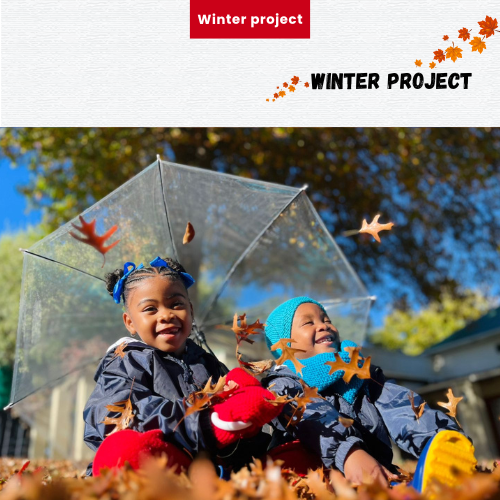 Winter Project